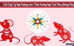 Tuổi Giáp Tý hợp hướng nào? Chọn hướng nhà phong thủy tuổi 1984