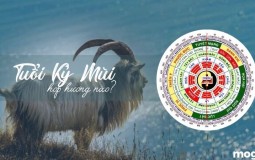 Tuổi Kỷ Mùi hợp hướng nào? Chọn hướng nhà hợp phong thủy