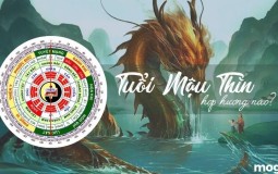 Tuổi Mậu Thìn hợp hướng nào? Hướng nhà hợp phong thủy, thu hút vận may