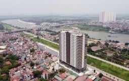 Chậm gửi phí bảo trì chung cư, Công ty An Quý Hưng bị xử phạt gần 200 triệu đồng