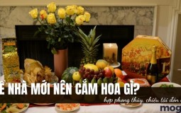 Về nhà mới nên cắm hoa gì để vừa thẩm mỹ vừa hợp phong thủy