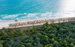 Sun Secret Valley - Chất sống tinh tế bên Bãi Dài Phú Quốc