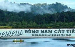 Rừng nam Cát Tiên – Địa điểm du lịch tuyệt vời để cắm trại và khám phá