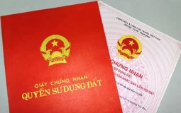 Cách xem sổ đỏ đầy đủ thông tin chi tiết, chính xác nhất