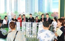 Doanh nghiệp môi giới bất động sản không phải cung cấp thông tin giao dịch