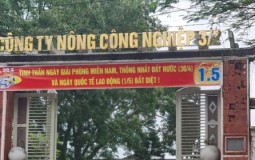 Nghệ An: Công ty CP Nông công nghiệp 3/2 có nguy cơ bị thu hồi dự án