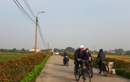 Hà Nội đấu giá hơn 10 ha đất làm cụm công trình thương mại dịch vụ