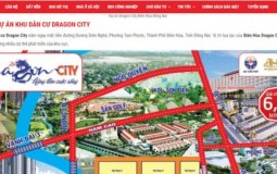 Đồng Nai: Bắt giám đốc, lộ các dự án trái phép