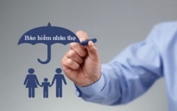 Phát hiện khoảng 3.100 trường hợp đại lý bảo hiểm có sai phạm