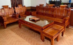 Những bí ẩn về gỗ xương gà mà nhiều người chưa biết