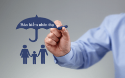 Những điều doanh nghiệp cần biết khi mua bảo hiểm nhân thọ cho nhân viên
