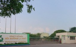 Chuyển hồ sơ công an điều tra sai phạm tại Công ty CP Mía đường La Ngà
