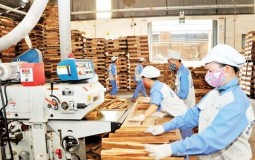 Giải quyết hoàn thuế GTGT nhanh để hỗ trợ doanh nghiệp
