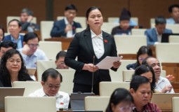 Đại biểu QH: Trốn, chậm đóng bảo hiểm xã hội phải xử lý như trốn thuế