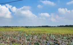 Dự án 2.500 tỷ đồng của Nguyễn Hoàng Group tại Thanh Hóa bị chậm tiến độ