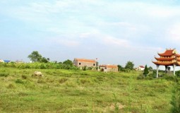 Hải Dương: Ôm đất không triển khai, Công ty Vinamit bị kiến nghị thu hồi đất