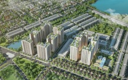 Bình Định: Duyệt phương án đấu giá đất xây dự án nhà ở hơn 3.000 tỷ đồng