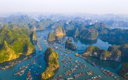Hải Phòng: Đấu giá tìm chủ đầu tư cho khu du lịch 3.000 tỷ đồng ở Cát Bà
