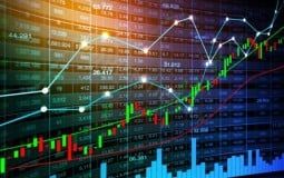 Bí Mật Chọn Lựa Một Nền Tảng Forex An Toàn và Đáng Tin Cậy