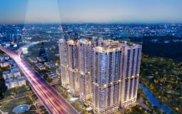 Realty Holdings doanh nghiệp được Phát Đạt “chọn mặt gửi vàng”