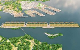 Đủ cơ sở đầu tư cảng trung chuyển 50.000 tỷ đồng ở Việt Nam