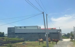 Bình Thuận: Gian nan 40 năm đi khiếu nại đòi lại đất hương hỏa