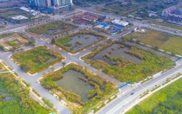 Hà Nội sẽ công khai danh tính người đấu giá đất cao rồi bỏ cọc