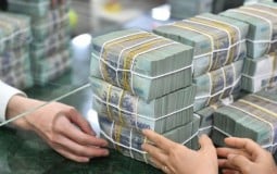 Khẩn trương miễn, giảm, gia hạn tiền thuế, lãi vay, bảo hiểm xã hội cho doanh nghiệp sau bão