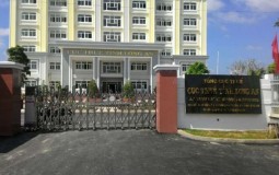 Tạm hoãn xuất cảnh Chủ tịch Công ty An Phú Sinh và chủ nhiều doanh nghiệp do nợ thuế