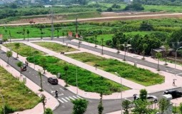 Vì sao giá trúng đấu giá đất cao bất thường?