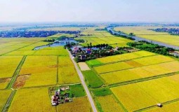 Bộ Tài chính đề xuất miễn, giảm tiền thuê đất nông nghiệp