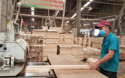Xây dựng chính sách hỗ trợ tài khóa với doanh nghiệp ảnh hưởng bởi thuế quan của Mỹ