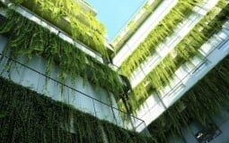 Đề xuất giảm thuế sử dụng đất đối với công trình xanh
