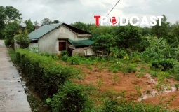 Các đối tượng được đề xuất miễn thuế sử dụng đất nông nghiệp