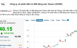 'Đọc vị' loạt nhà đầu tư rót vốn vào Taseco Land
