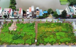 Gắn mã định danh cho từng thửa đất