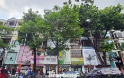 Không phải phố cổ, những tuyến đường ở Hà Nội có giá rao bán vượt 1 tỷ đồng/m2