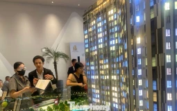Thị trường căn hộ phục hồi, lượng giao dịch tăng đột biến