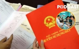 Bỏ cọc đấu giá đất có thể bị cấm hoạt động đến 5 năm
