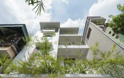 Cải tạo nhà ống chật chội thành không gian sống xanh mát