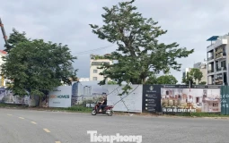 Giá chung cư ở tỉnh lẻ 'nhảy múa' lên đến 80 triệu đồng/m2