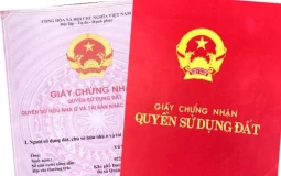 Hơn 2 triệu trường hợp thiếu thông tin đất đai sau hợp nhất, TPHCM kêu gọi phối hợp