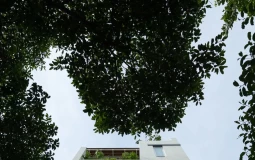 Ngôi nhà sum vầy ba thế hệ giữa ánh sáng và không gian mở