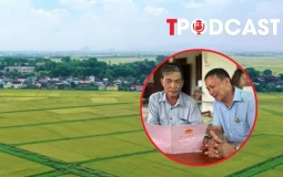 Đất sau 'dồn điền đổi thửa' sẽ được cấp sổ đỏ như thế nào?