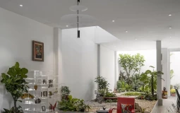 Nhà 3 tầng như villa nghỉ dưỡng giữa phố