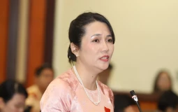 Đại biểu HĐND TPHCM: Người dân dễ tiếp cận nhà ở xã hội từ... 'cò' đất