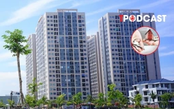 Hộ gia đình, cá nhân cho thuê nhà phải nộp những loại thuế nào?