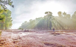 Gia Lai chấp thuận doanh nghiệp liên quan FLC đầu tư Dự án Sân golf Đak Đoa
