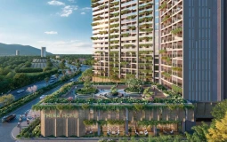 Không chỉ là chi phí: điều gì khiến kiều bào dưỡng già ở Việt Nam?