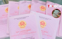 Kiến nghị Ngân hàng Nhà nước điều tiết dòng tín dụng vào bất động sản